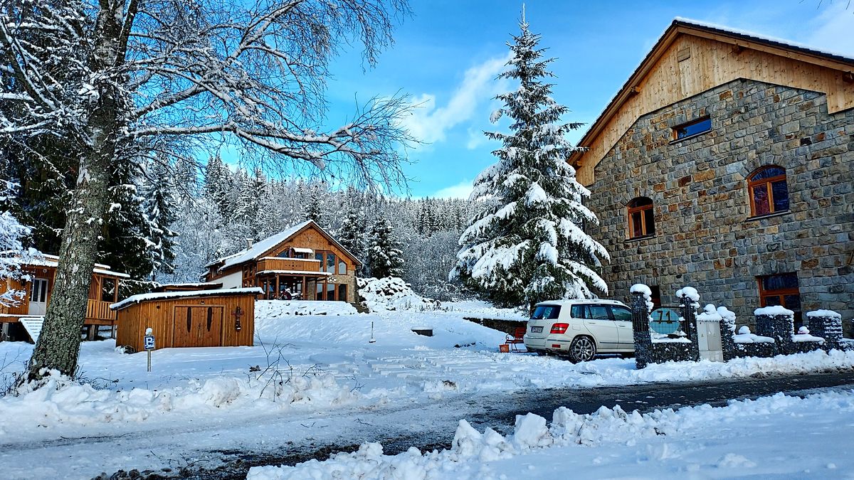 Prodej vícegeneračního domu 1234 m², pozemek 5576 m² – fotografie 4