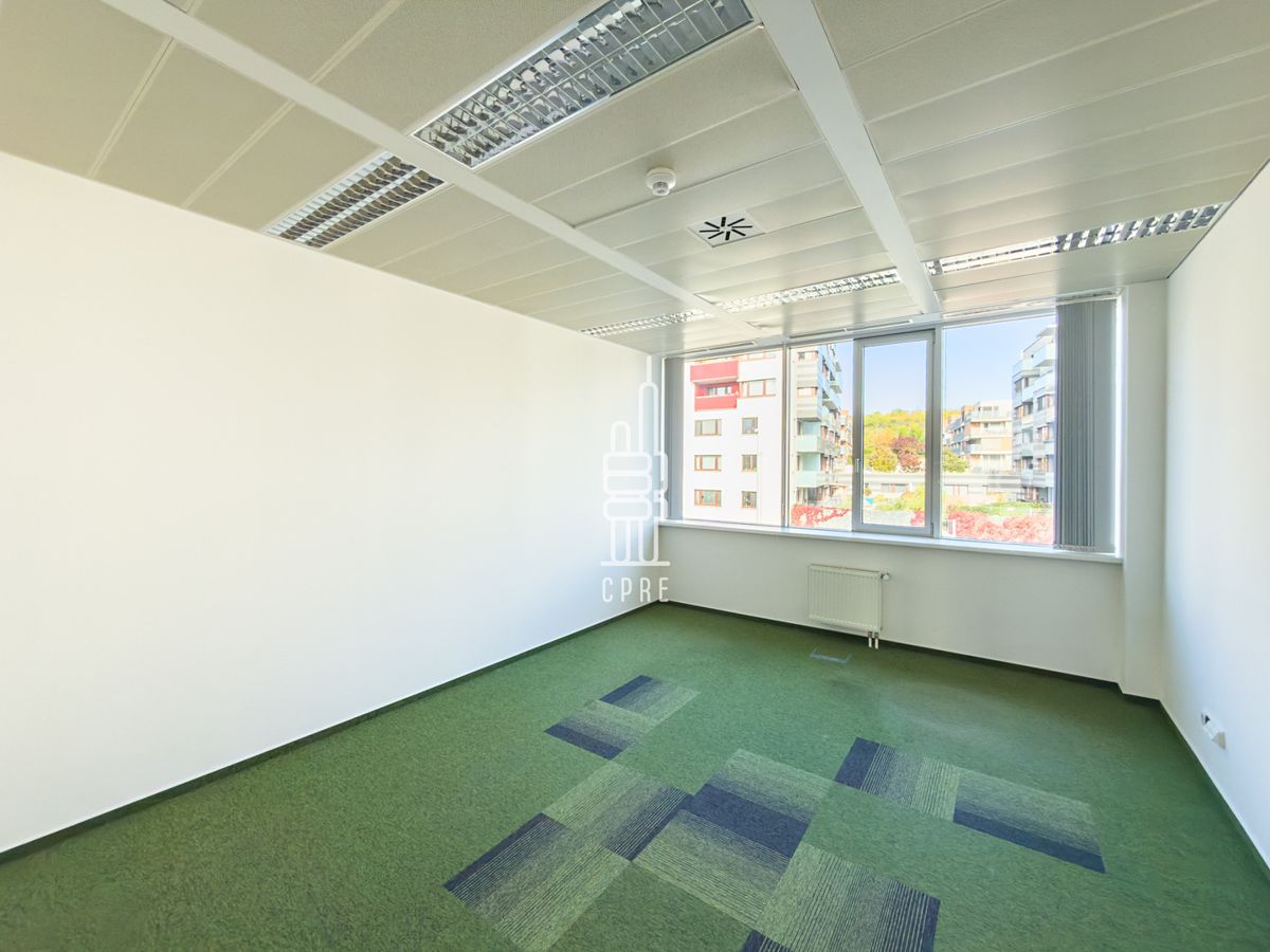 Pronájem kanceláře 331 m² – fotografie 2