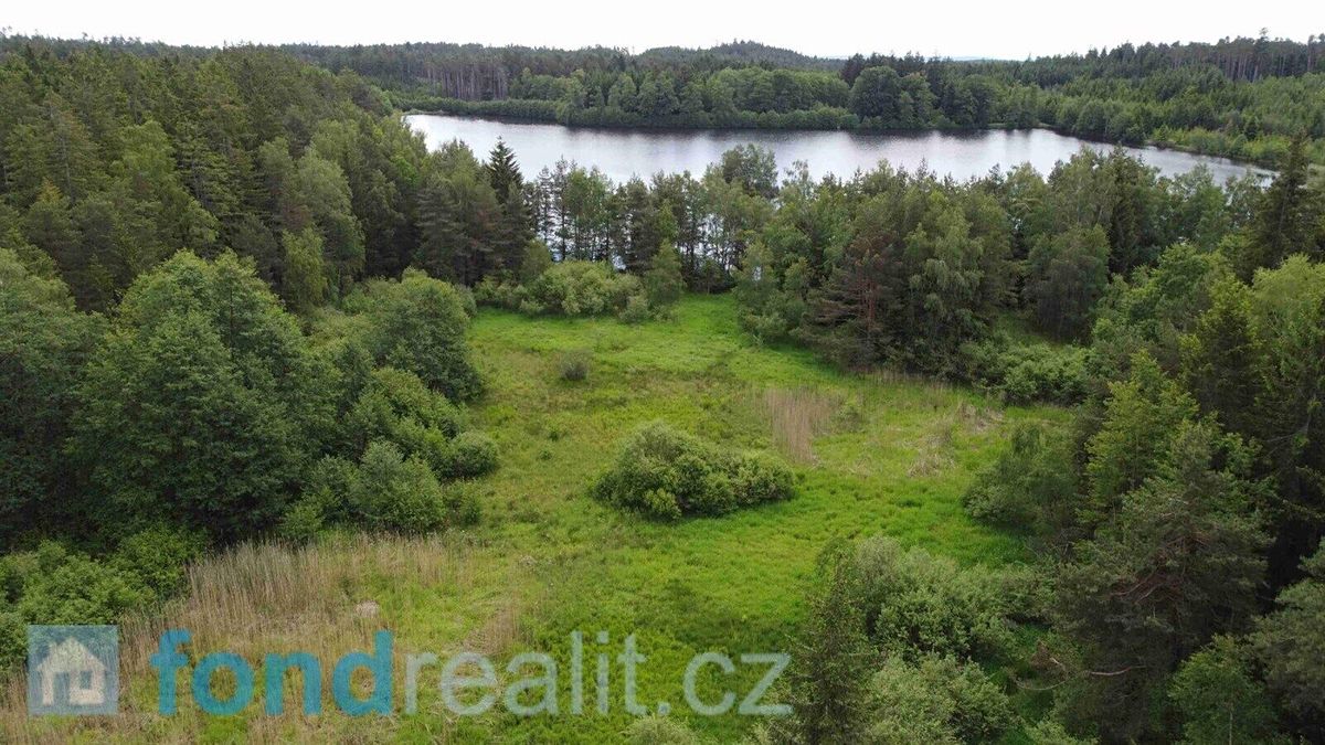 Prodej pozemku 27662 m² – fotografie 3