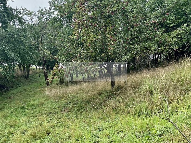 Grundstück zum Kauf, 11.900 m² (22 von 31)