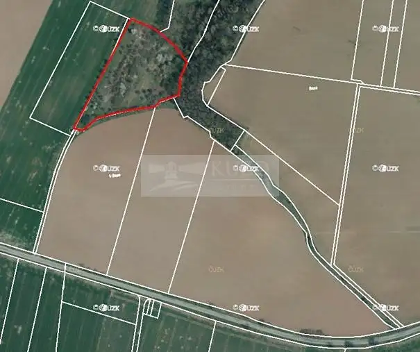 Prodej sadu, vinice 11900 m², Velké Všelisy – náhled fotky 3