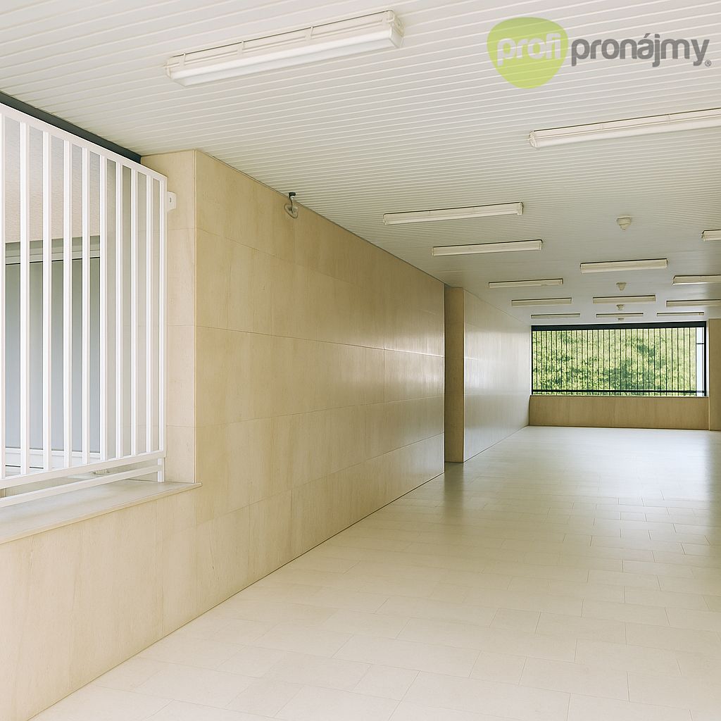 Pronájem garáže 15 m² – fotografie 2
