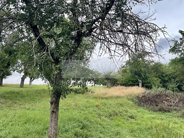 Grundstück zum Kauf, 11.900 m² (16 von 31)