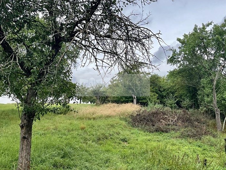 Grundstück zum Kauf, 11.900 m² (17 von 31)