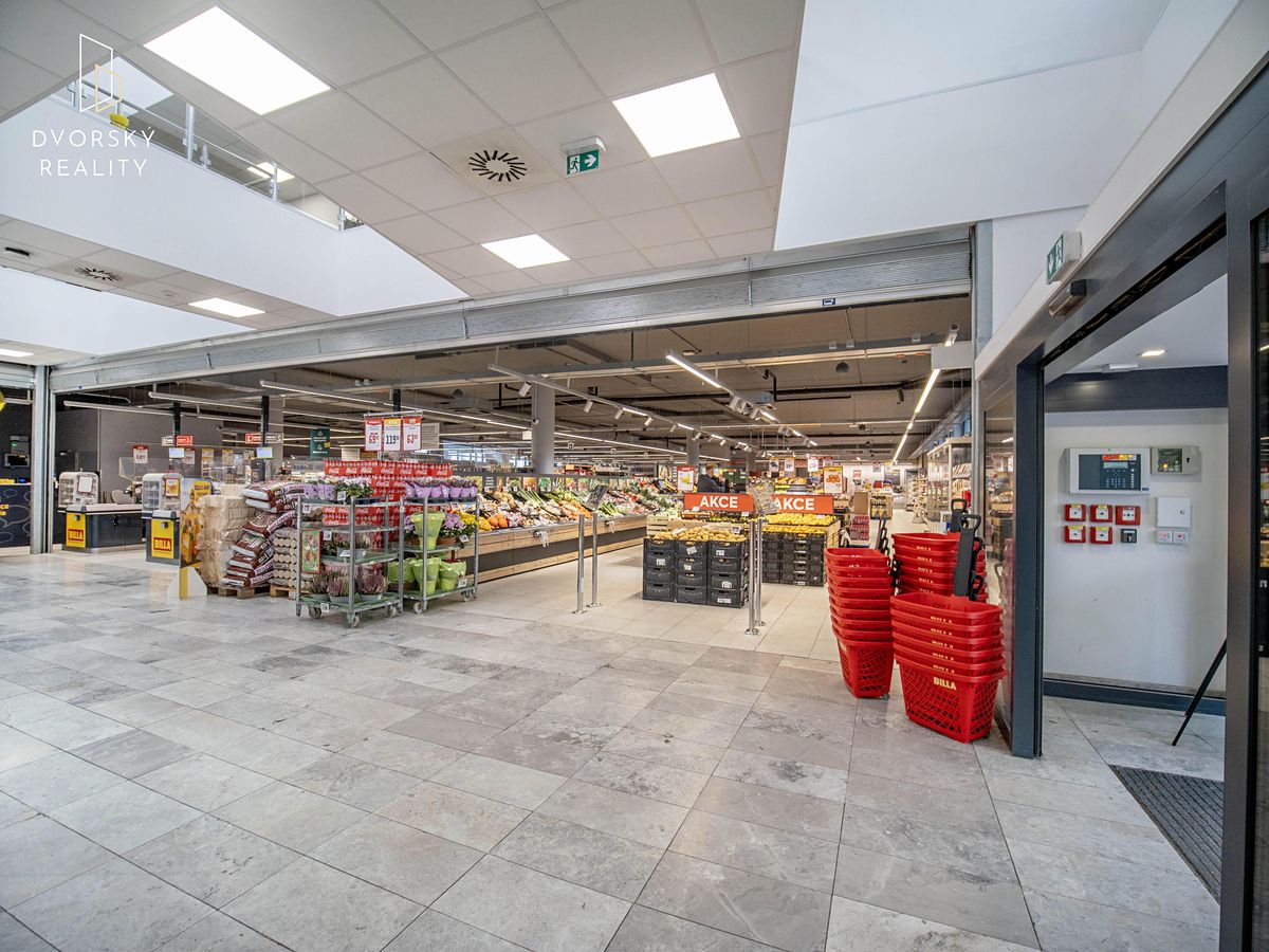 Prodej obchodního prostoru 4857 m² – fotografie 3