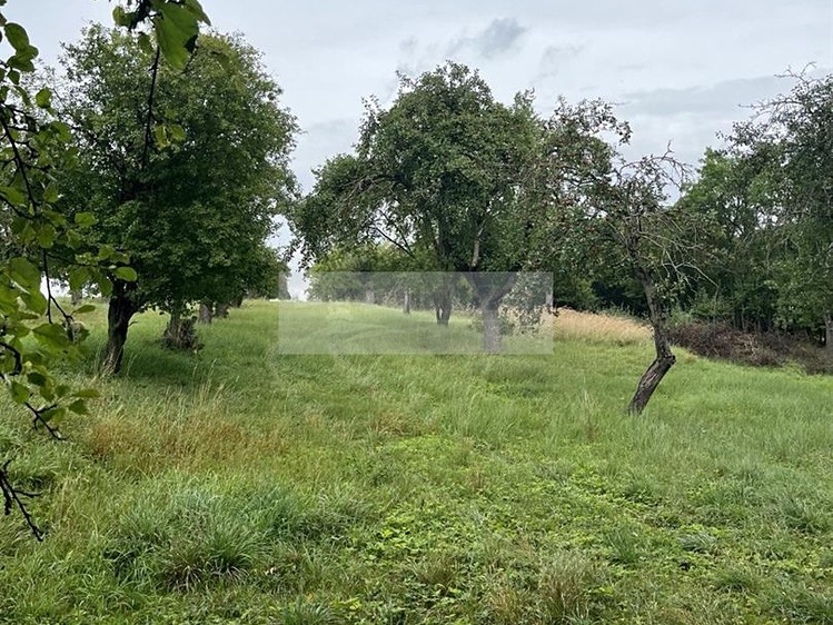 Grundstück zum Kauf, 11.900 m² (12 von 31)