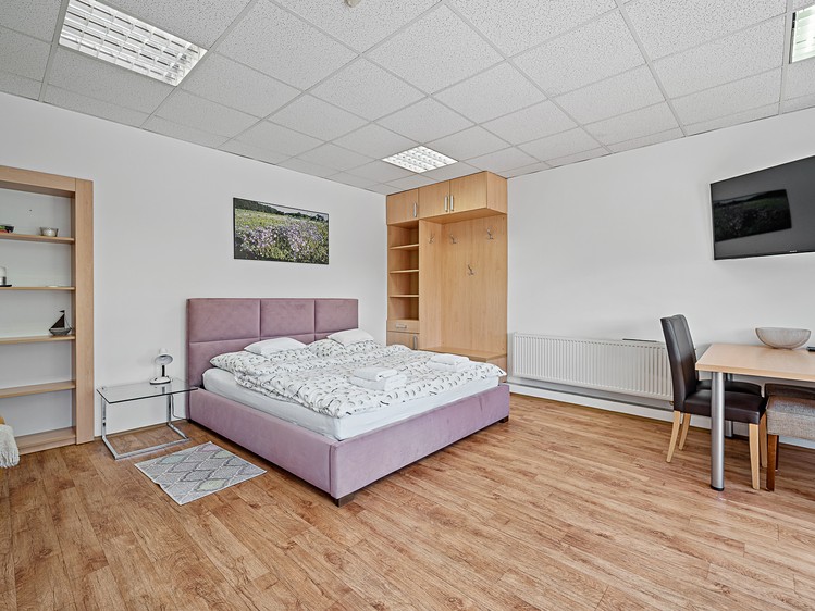 Prodej komerčního prostoru, 300 m² (38 z 42)