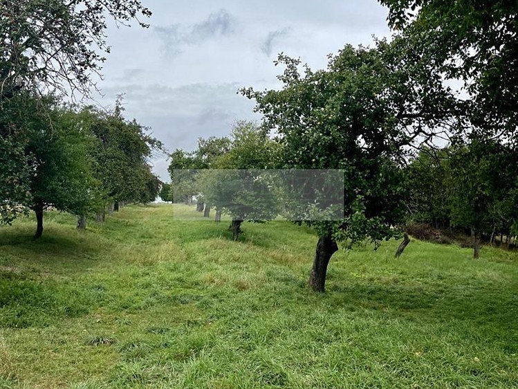 Grundstück zum Kauf, 11.900 m² (10 von 31)