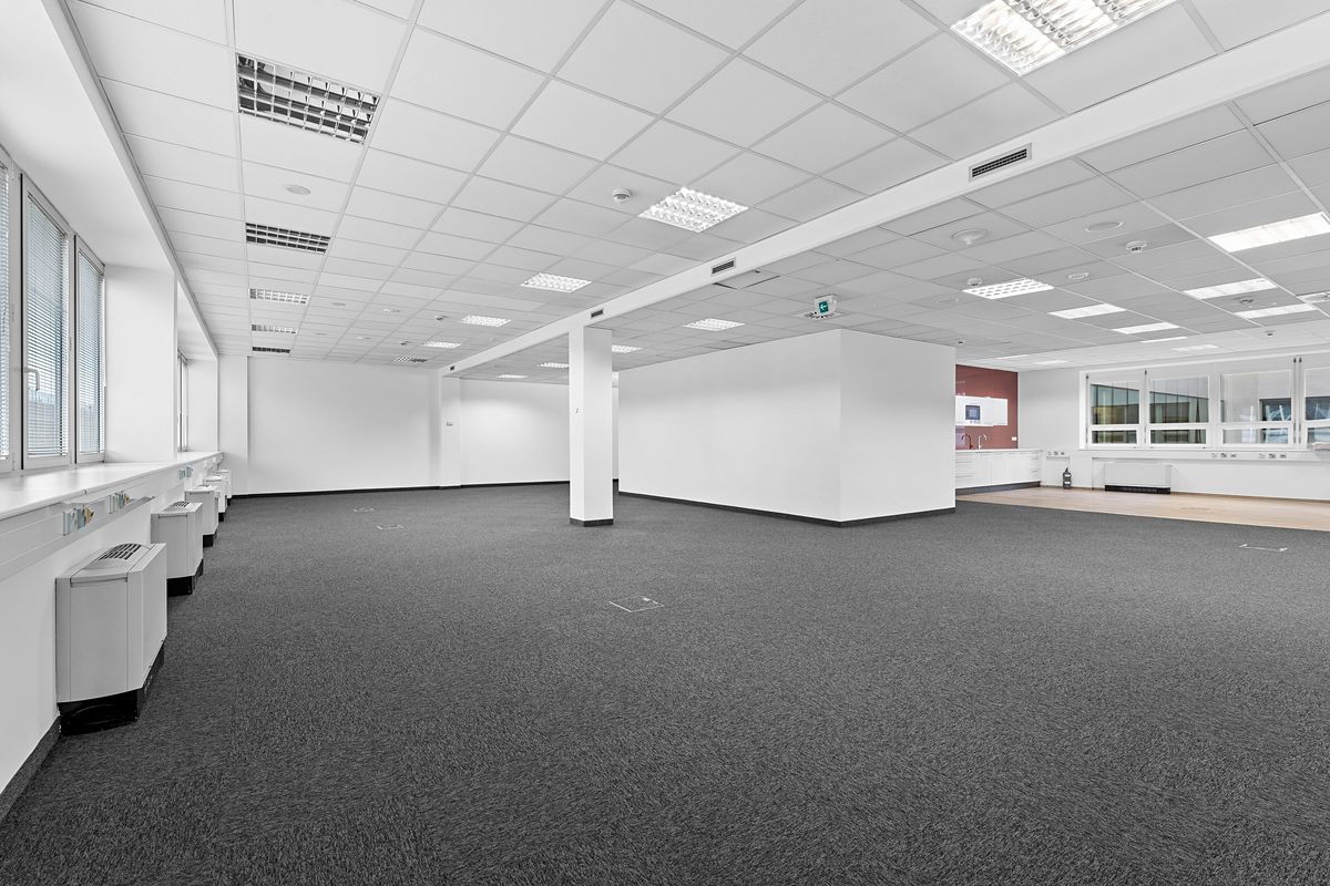 Pronájem kanceláře 342 m² – fotografie 4