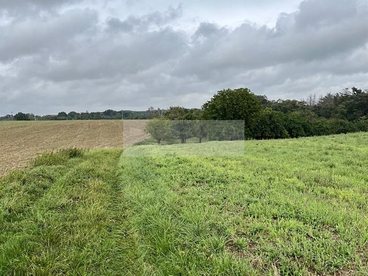 Grundstück zum Kauf, 11.900 m² (8 von 31)