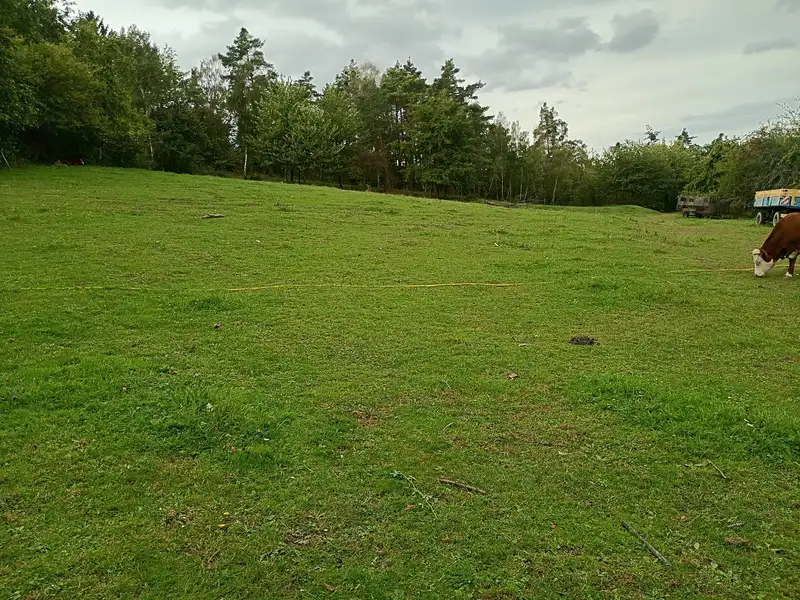 Prodej zahrady 7428 m², Snědovice – náhled fotky 3