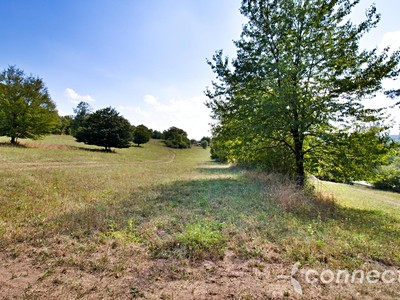 Prodej  louky 14 836 m² — photo 2