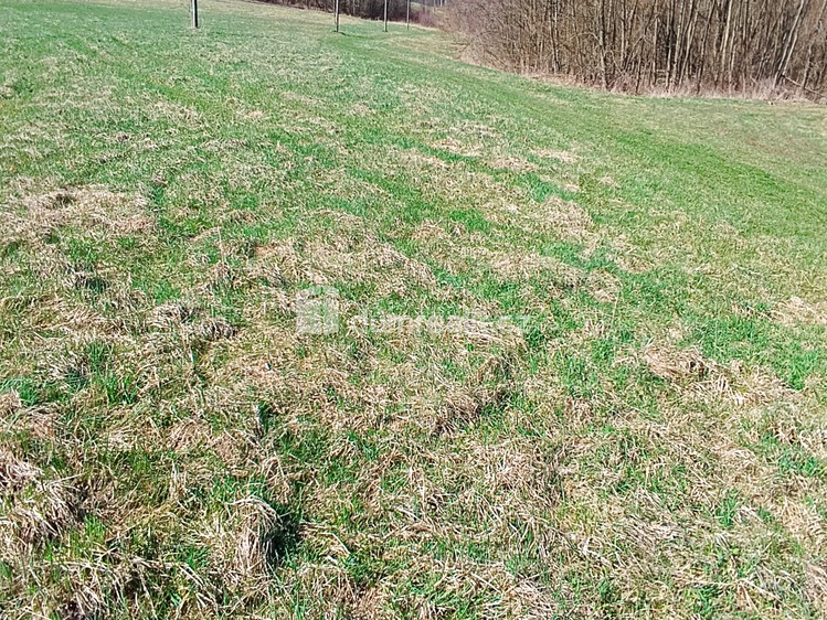 Grundstück zum Kauf, 1.246 m² (7 von 13)