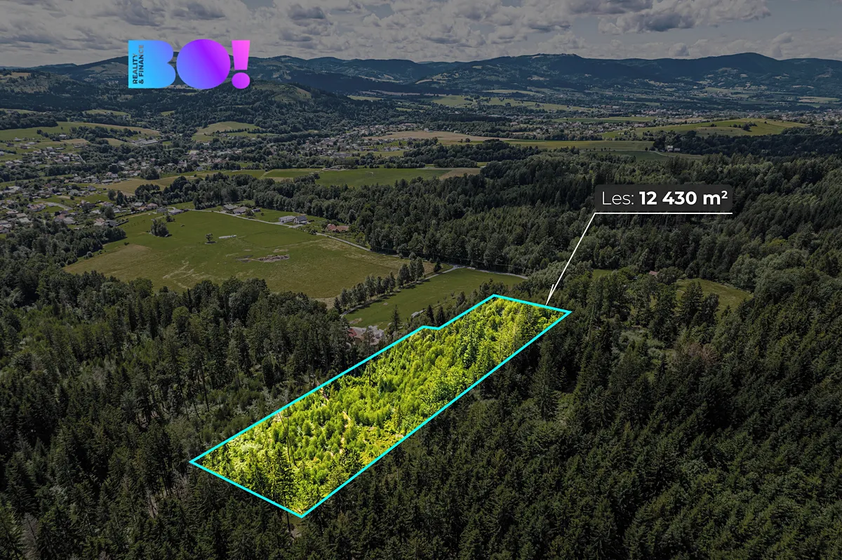 Prodej lesa 12430 m²