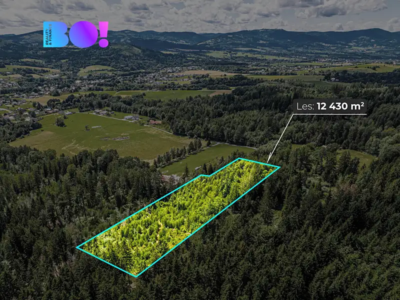 Prodej lesa 12430 m², Písek – náhled fotky 1