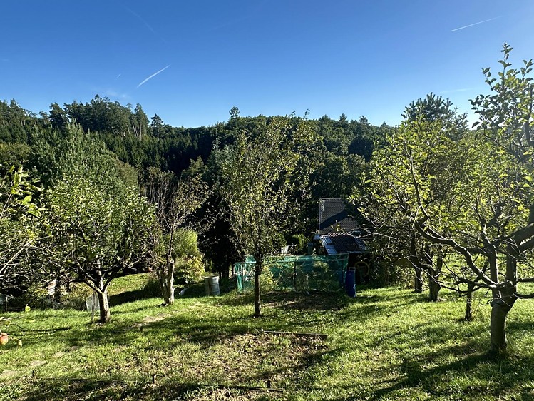 Prodej domu, 52 m² (19 z 25)