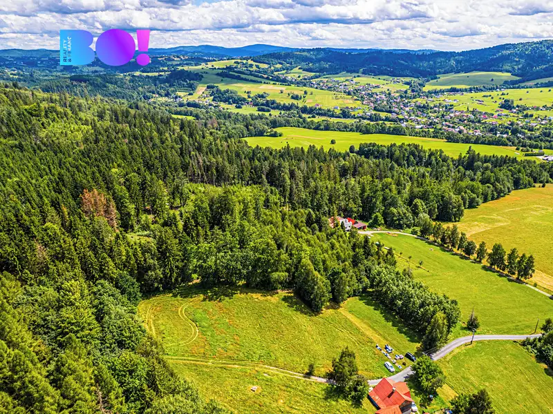 Prodej lesa 12430 m², Písek – náhled fotky 3
