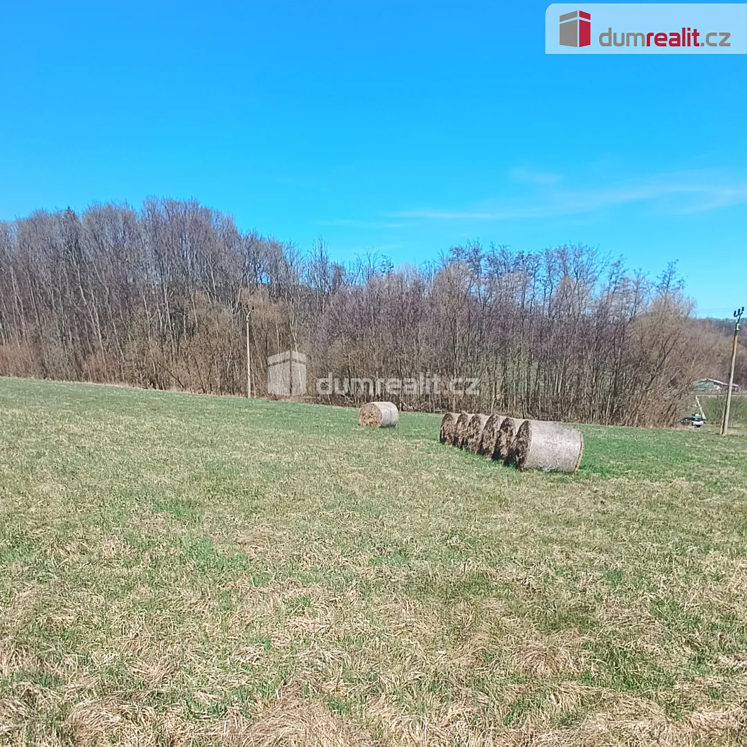 Fotka 3 z 13