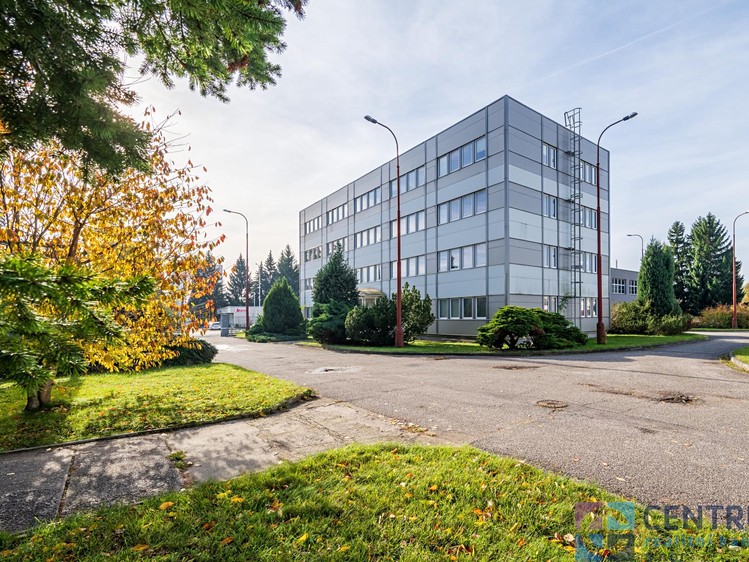 Gewerbefläche zur Miete, 1.371 m² (3 von 17)