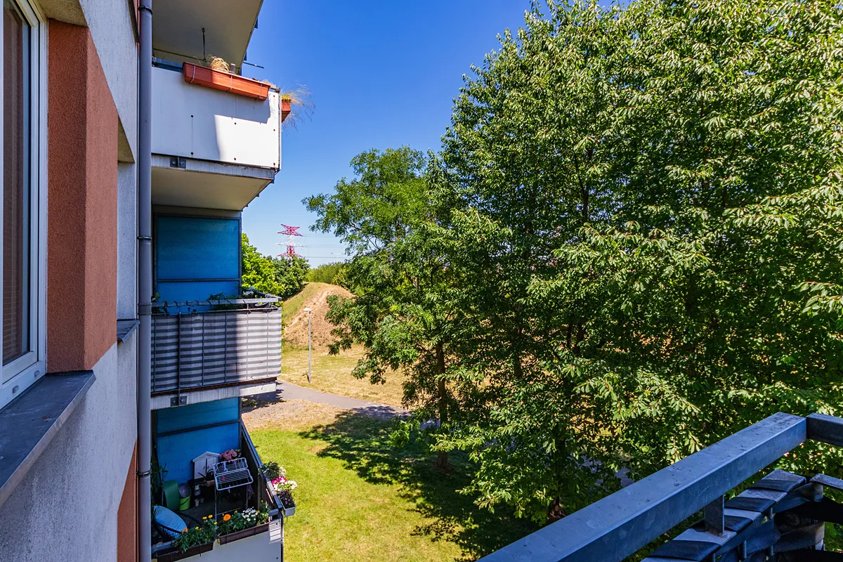 Fotka 10 z 13