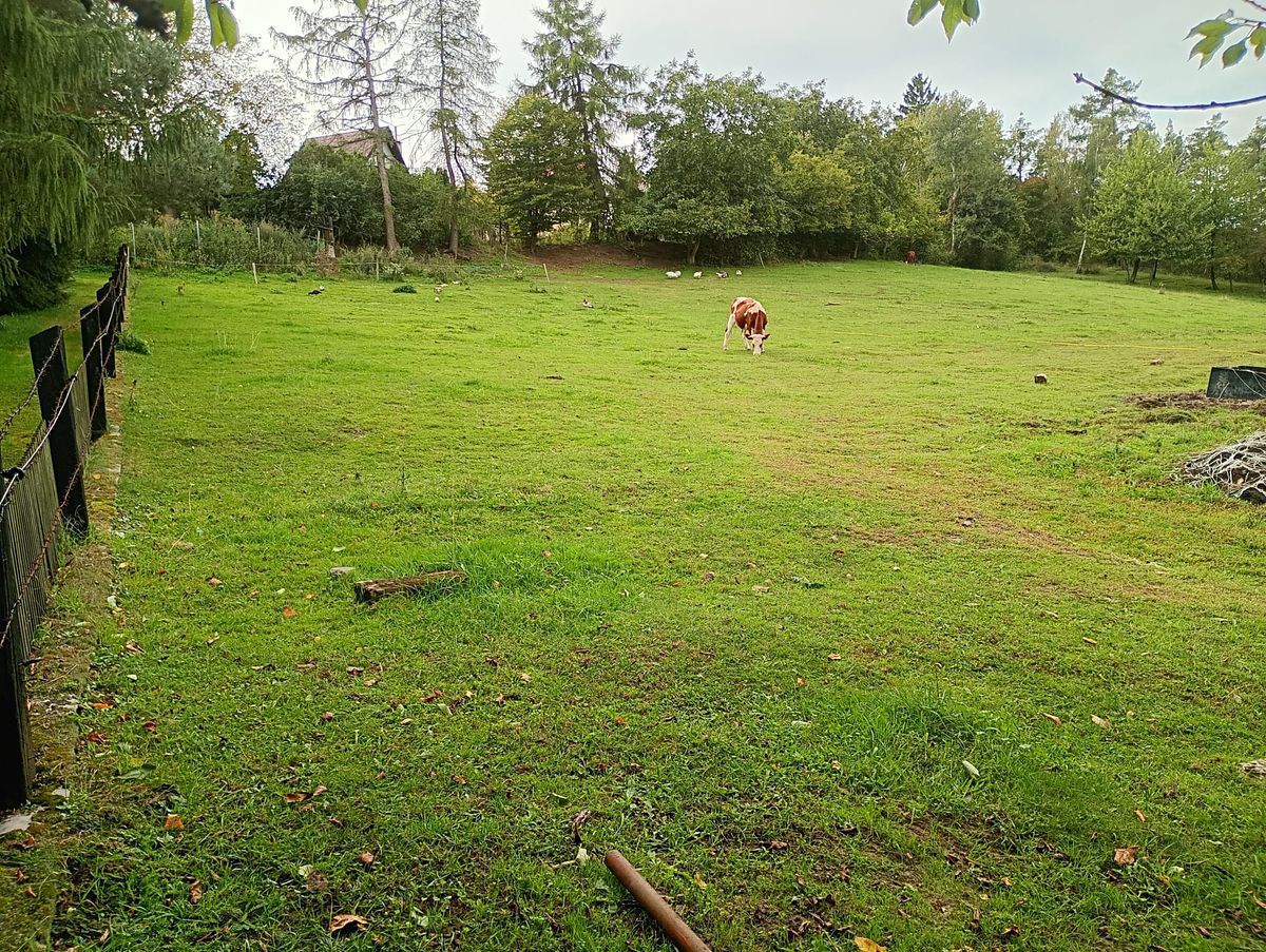 Prodej zahrady 7428 m²