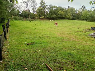Prodej zahrady 7428 m²