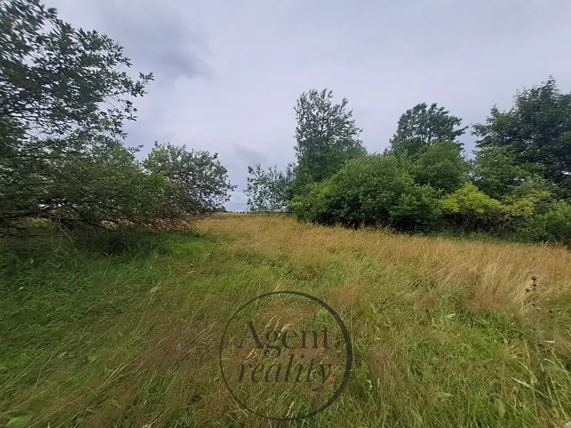 Prodej stavebního pozemku 6050 m², Petrovice – náhled fotky 3