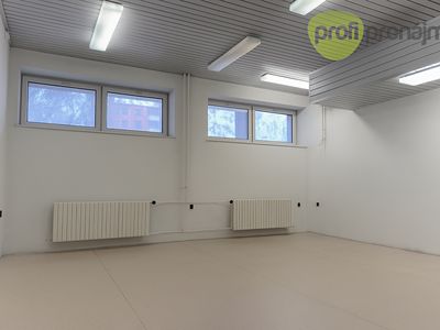Pronájem obchodního prostoru 42 m²