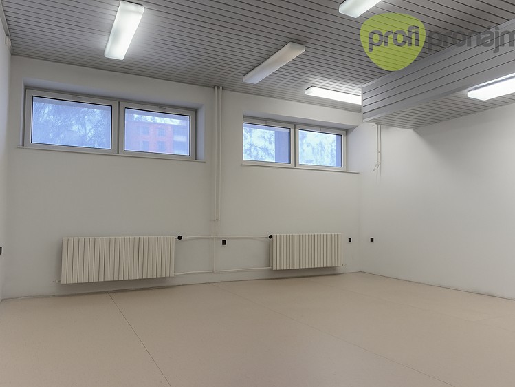 Gewerbefläche zur Miete, 42 m² (1 von 3)