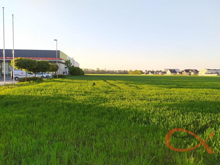Grundstück zur Miete, 3.303 m² (1 von 3)