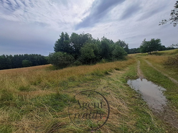 Grundstück zum Kauf, 6.050 m² (16 von 31)