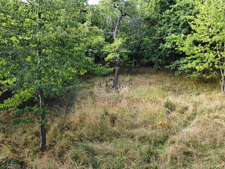 Grundstück zum Kauf, 26.115 m² (4 von 13)