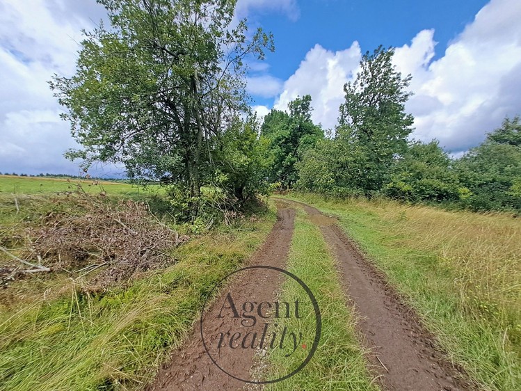Grundstück zum Kauf, 6.050 m² (10 von 31)