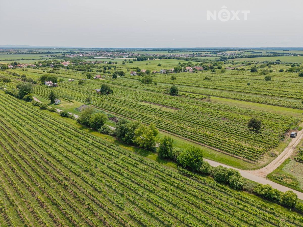 Prodej sadu, vinice 2318 m² – fotografie 3