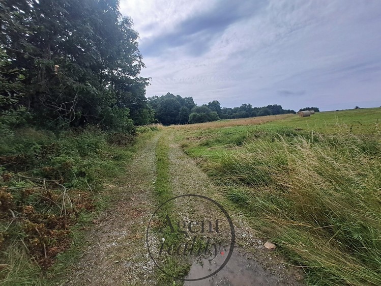 Grundstück zum Kauf, 6.050 m² (23 von 31)