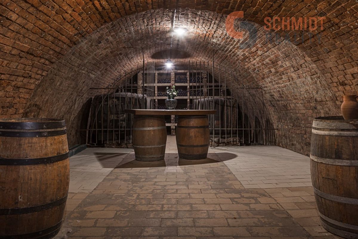 Prodej rodinného domu 300 m², pozemek 2085 m² – fotografie 2