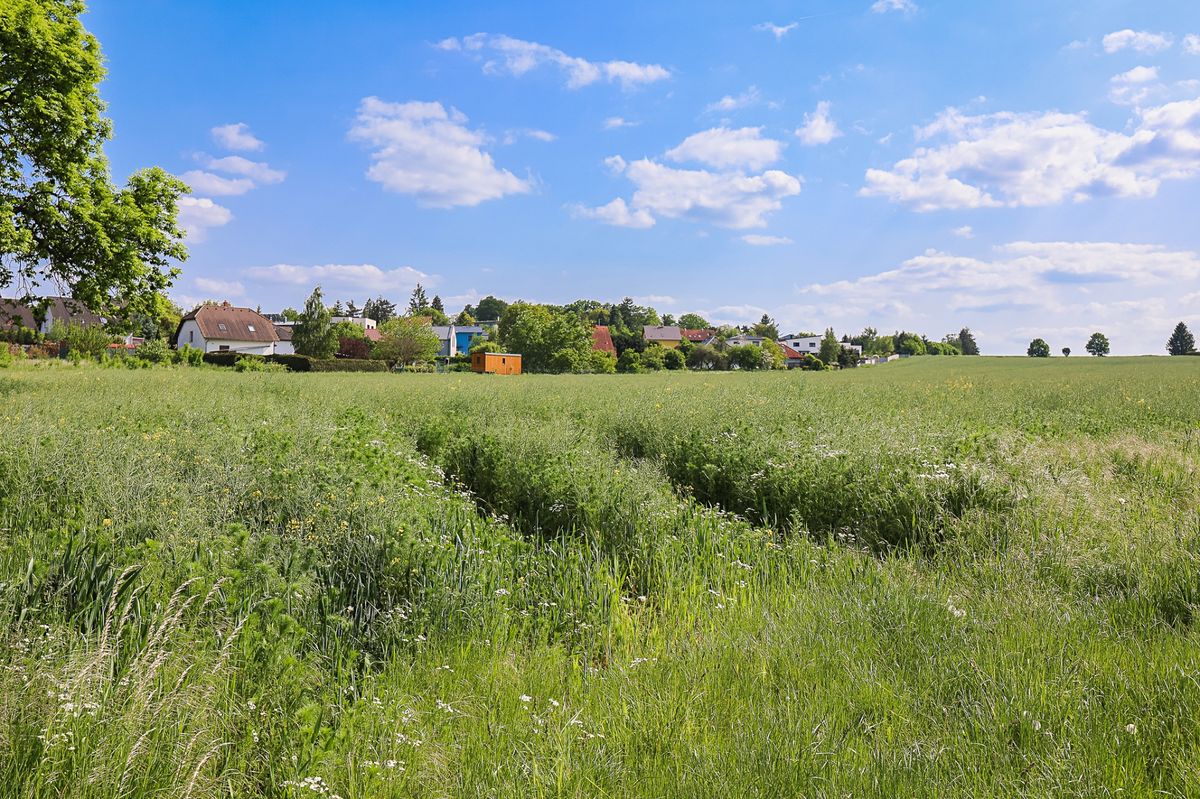 Prodej komerčního pozemku 11768 m² – fotografie 3