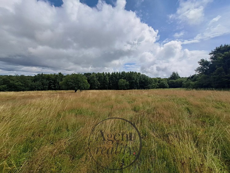 Grundstück zum Kauf, 6.050 m² (7 von 31)