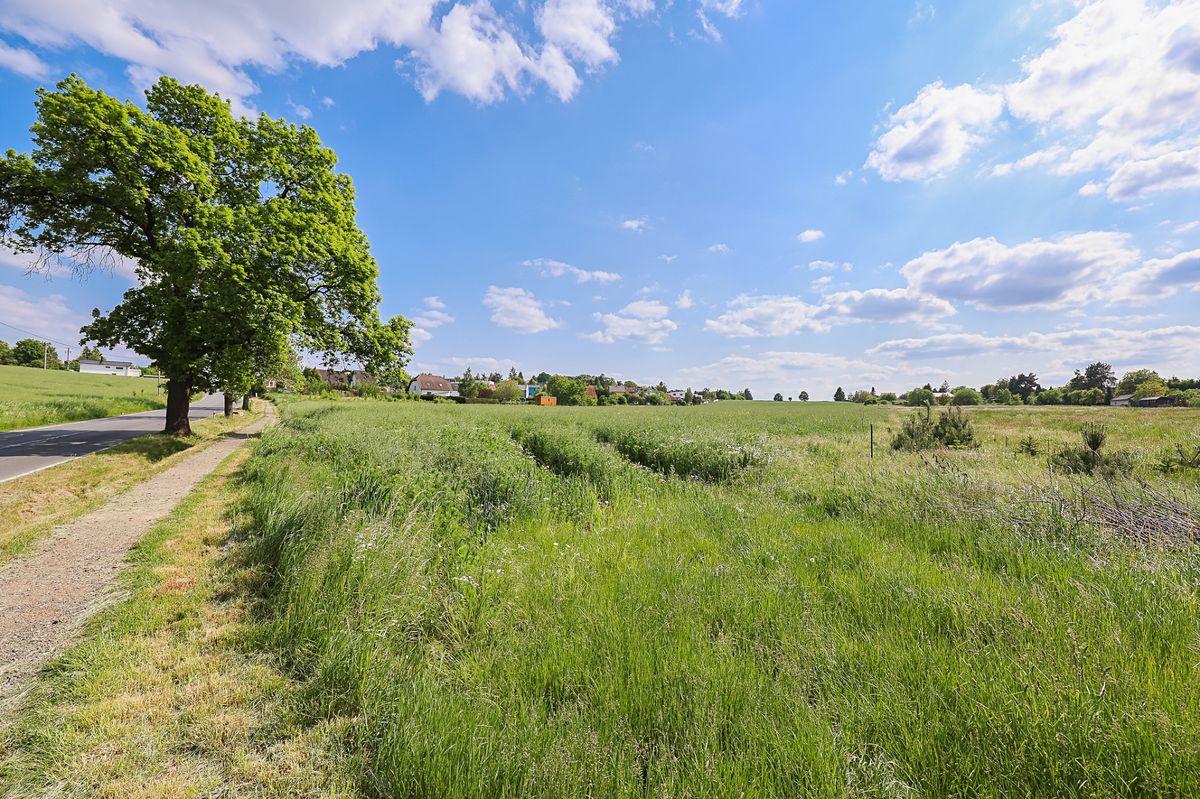 Prodej komerčního pozemku 11768 m² – fotografie 2