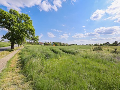 Prodej pozemku, 11 768 m² (2 z 9)