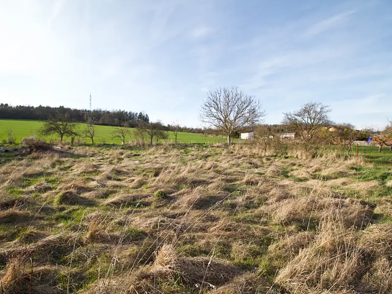 Prodej stavebního pozemku 620 m², Ptenín – náhled fotky 2