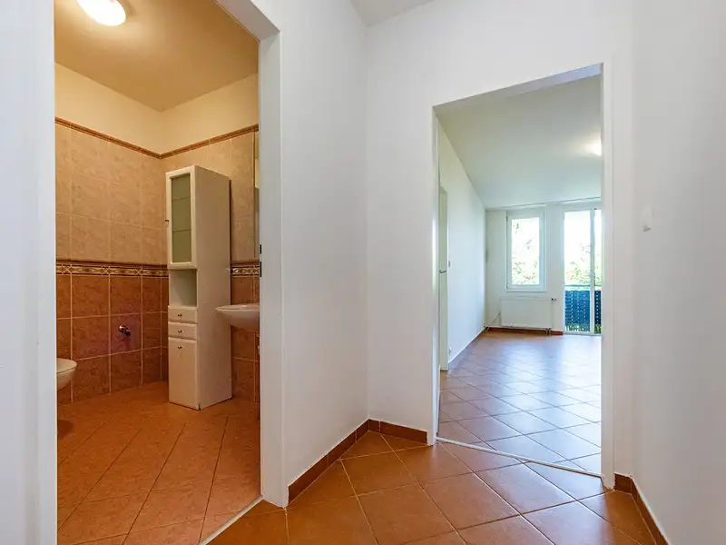 Prodej bytu 2+kk 50 m², Praha – náhled fotky 1