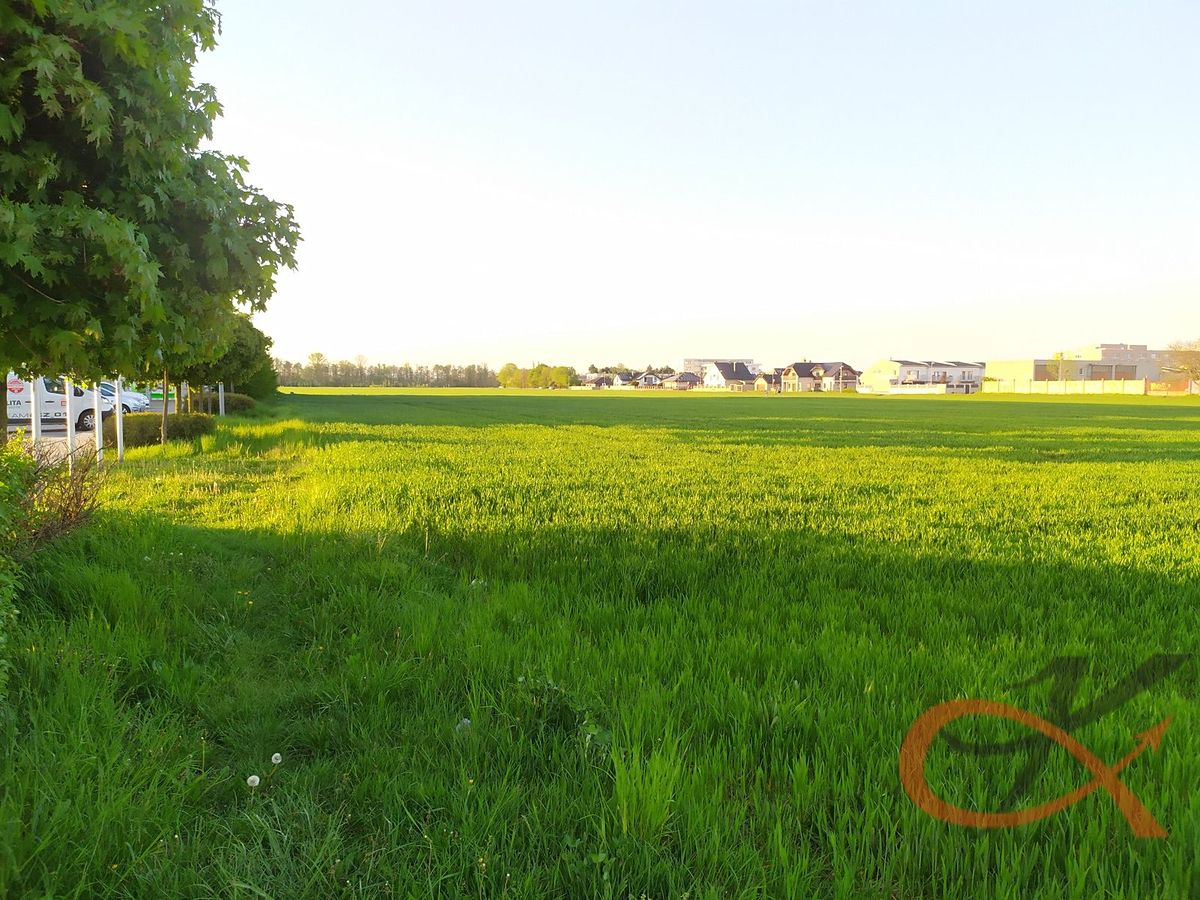 Pronájem pozemku 3303 m² – fotografie 3