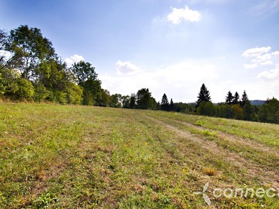 Prodej  louky 14 836 m² — photo 3