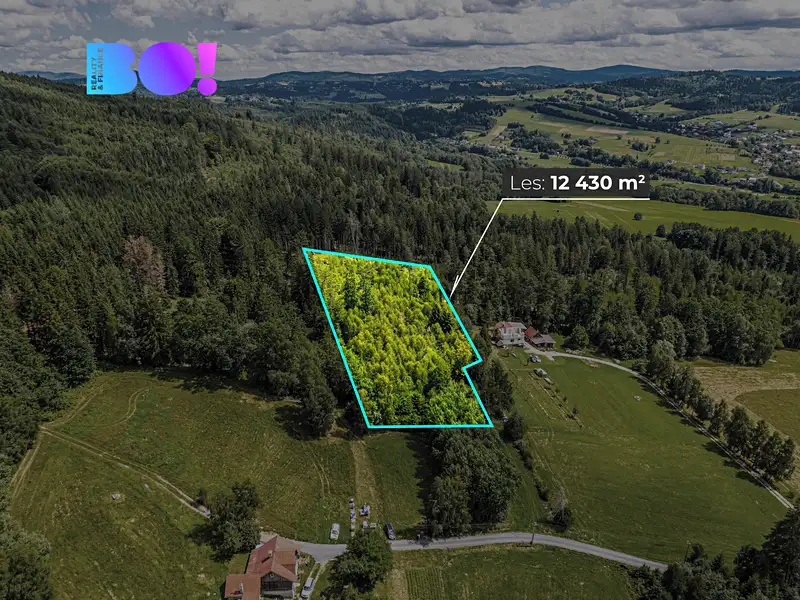 Prodej lesa 12430 m², Písek – náhled fotky 2