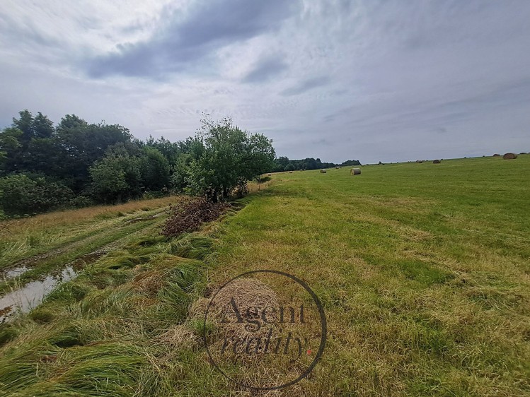 Grundstück zum Kauf, 6.050 m² (24 von 31)