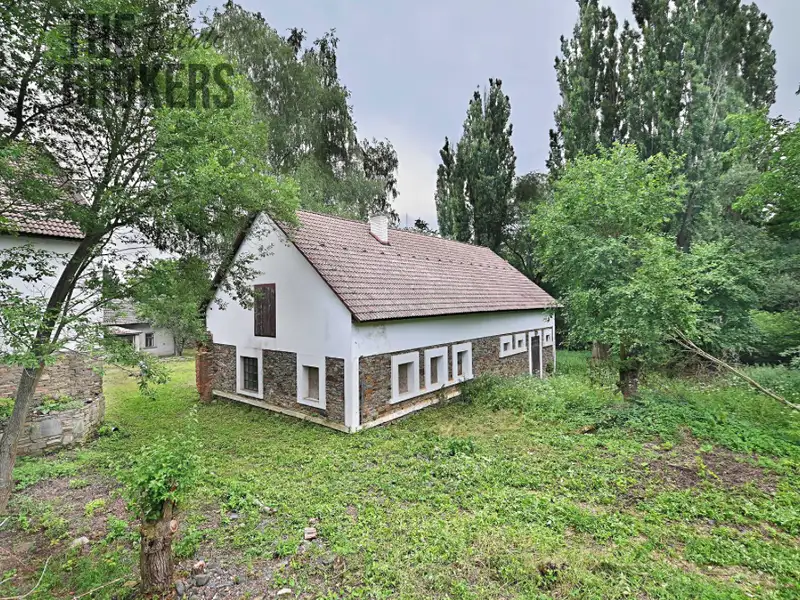 Prodej rodinného domu 5000 m², pozemek 42000 m², Zásmuky – náhled fotky 2