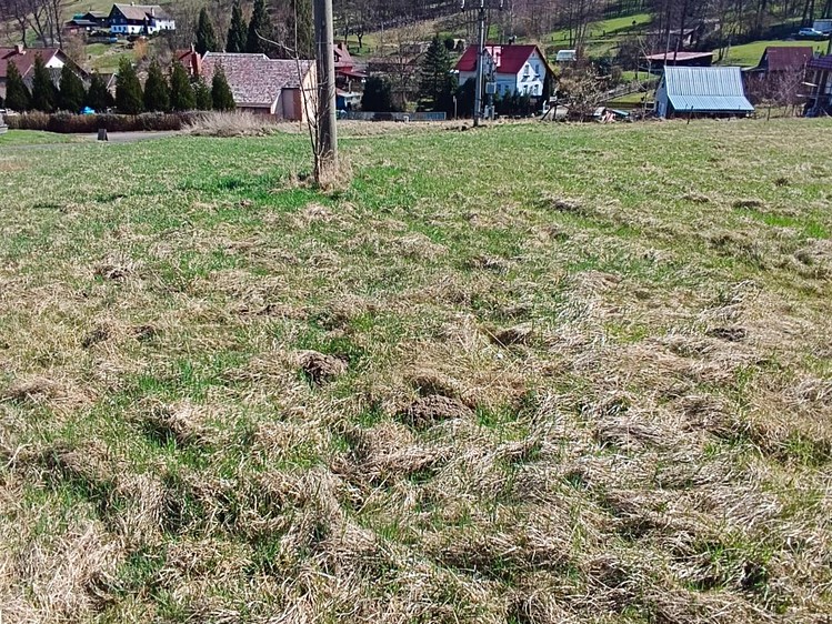 Prodej pozemku, 1 146 m² (4 z 10)