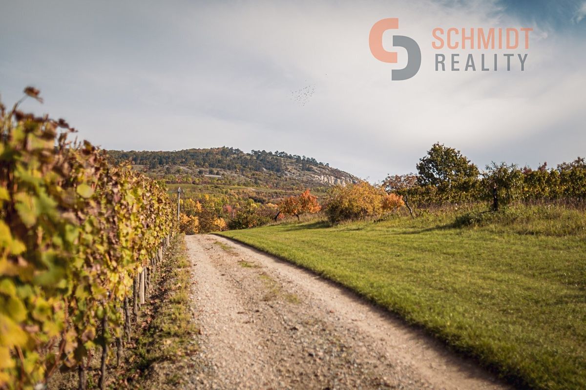 Prodej rodinného domu 300 m², pozemek 2085 m² – fotografie 5