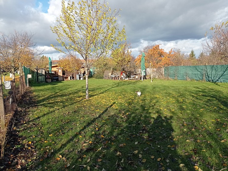 Grundstück zum Kauf, 1.285 m² (4 von 16)